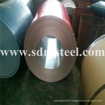 PPGI Steel Coil / Sheet / Plate